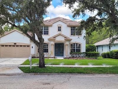 4802 Tea Rose Ct, Lutz, FL, 33558