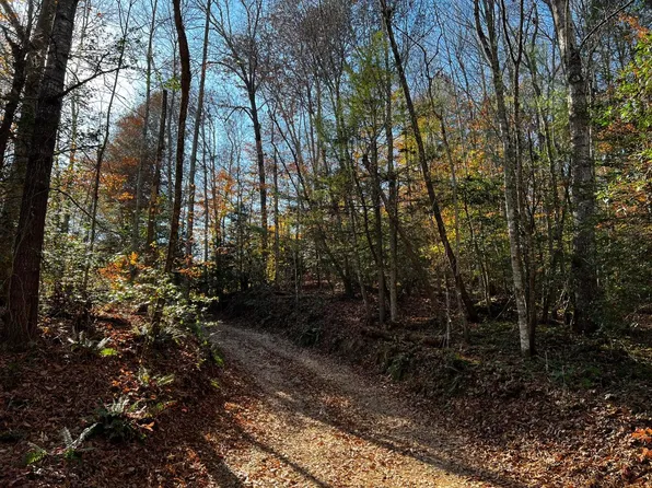 0 Fixer Rd, Zoe, KY 41397