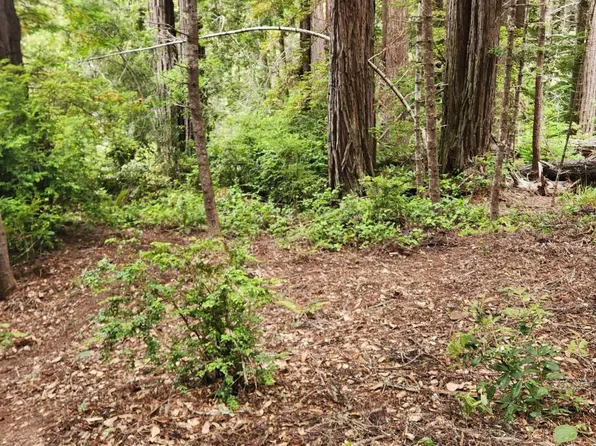 315 Chinquapin Lane, The Sea Ranch, CA 95497