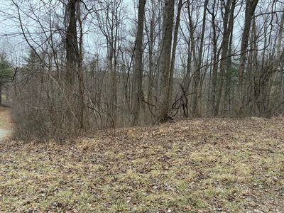 LOT 32 Woodvale Dr SE, Floyd, VA, 24091