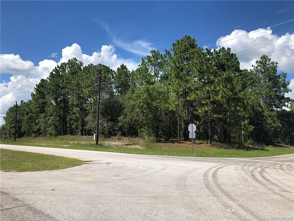 8559 N Deltona Blvd, Citrus Springs, FL 34434 Zillow