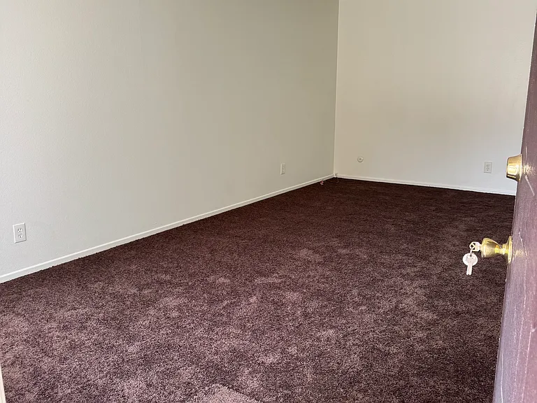 Corsica Apartments — Photo 6