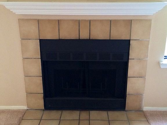 Wood Burning Fireplace