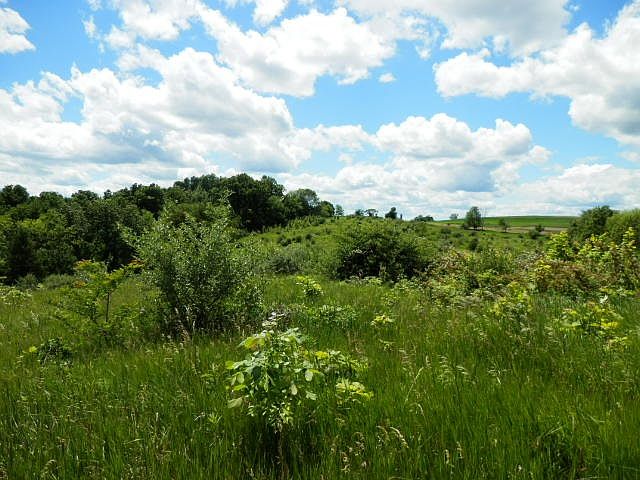 1st image of Daughenbaugh Ln