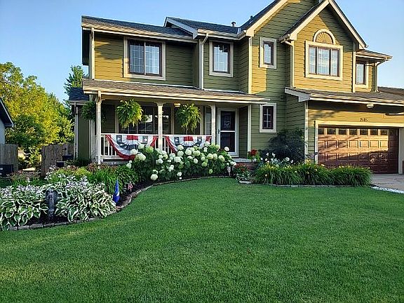 Green grass, mature flowers 