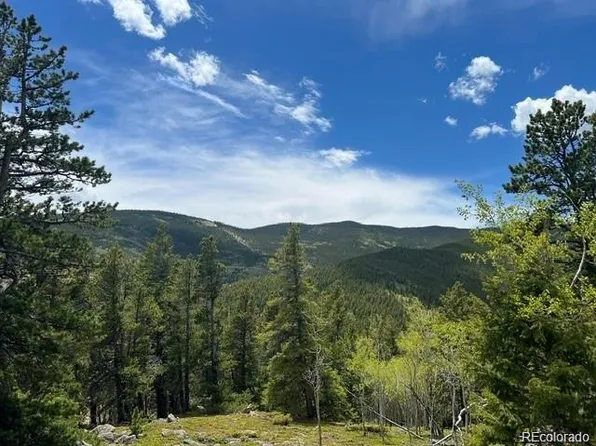 003 Sunny Skies Trail, Idaho Springs, CO 80452