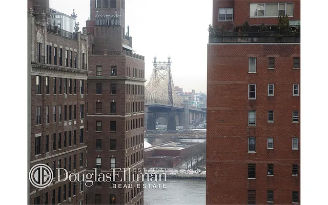 Sold by Douglas Elliman | media 5