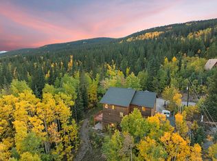 294 Mine Dump Rd, Alma, CO 80420