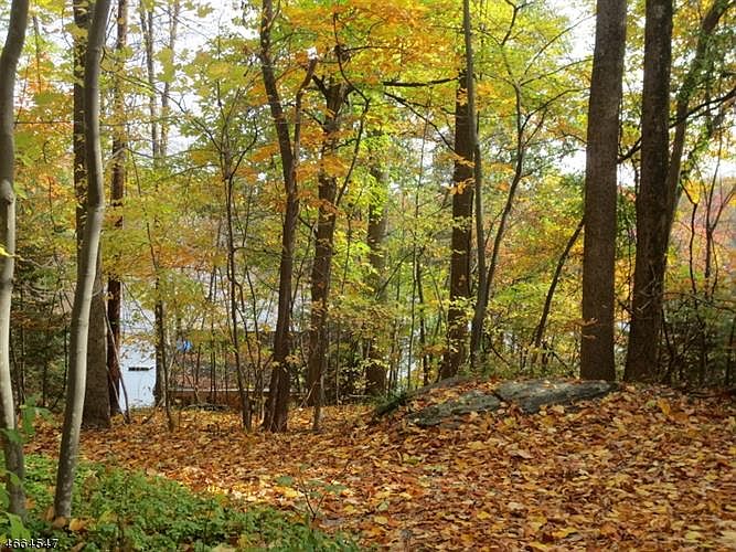 2nd image of 26 Decker Pond Trl
