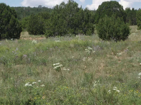 18 Frank James Rd, Edgewood, NM 87015