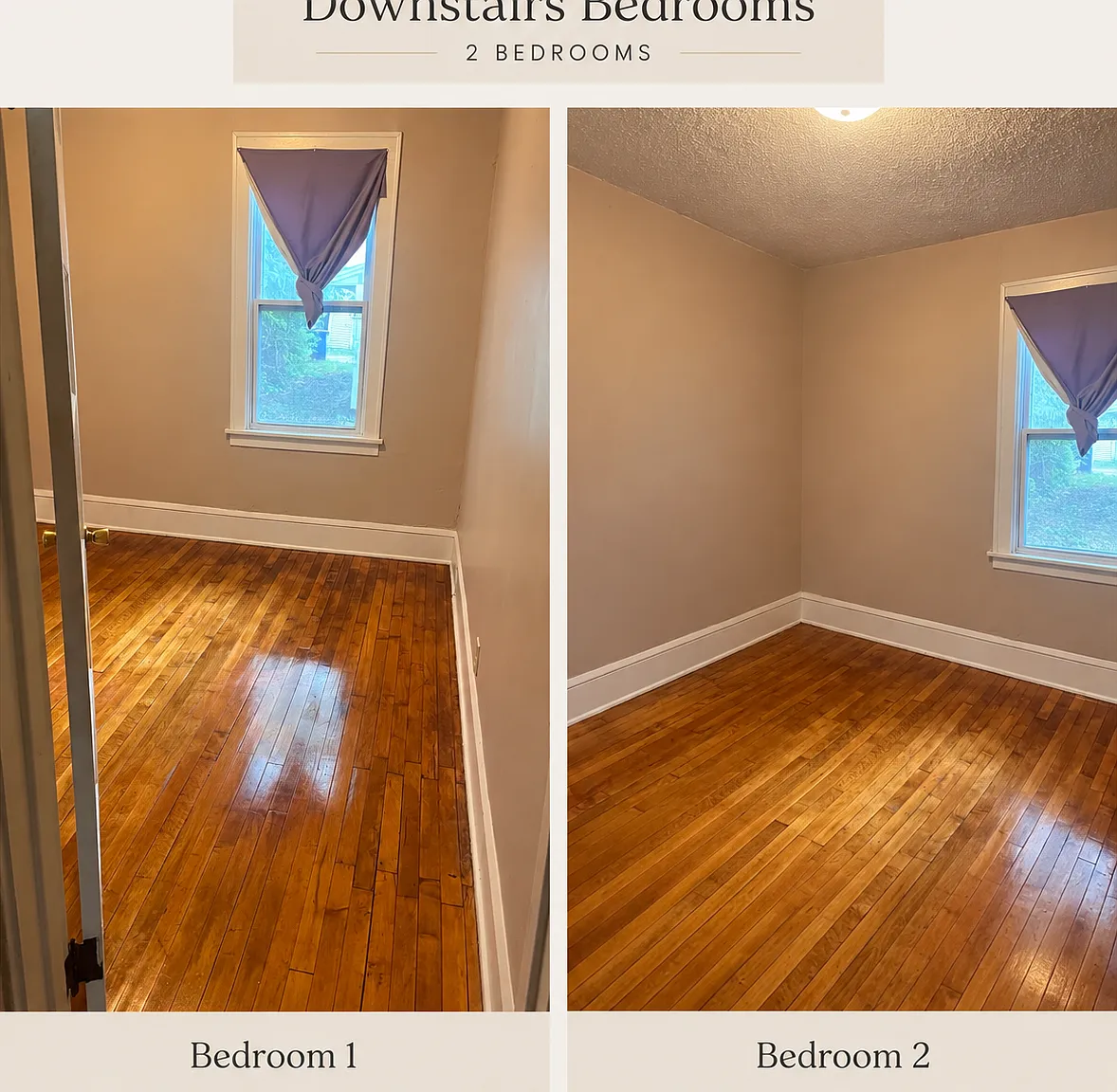 3 bed, 1255 sqft, $2,000 — Photo 4