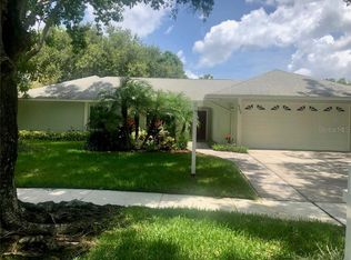 4203 Interlake Dr, Tampa, FL 33624