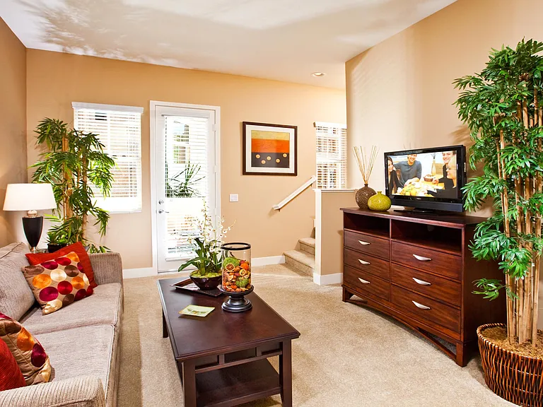 Latitude 33 — Photo 23