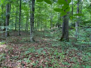 Tanglewood Dr, Sharps Chapel, TN 37866