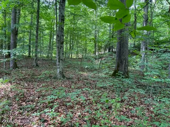 Tanglewood Dr, Sharps Chapel, TN 37866