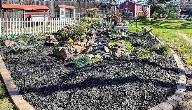 A view of the backyard, which you will have access to.