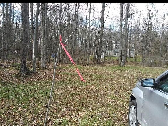 5th image of Birchdale Dr
