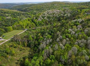 300 Miller Hollow Rd, Waverly, NY 14892