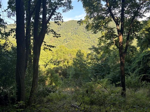 Veterans Rd, Tannersville, VA 24377