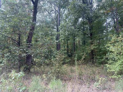 (Undisclosed Address), Wilmar, AR, 71675