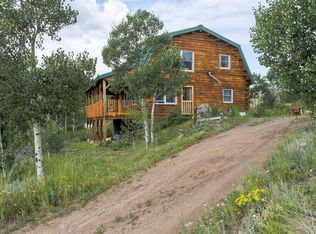 79 Mackey Mine Rd, Idaho Springs, CO 80452
