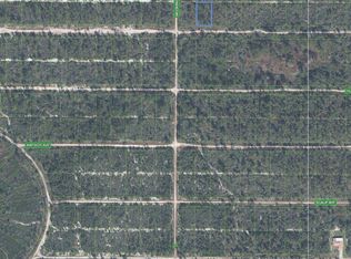 556 Quail Ave, Sebring, FL 33872