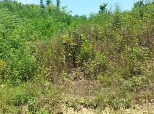 Lehigh Dr, Newport, TN 37821