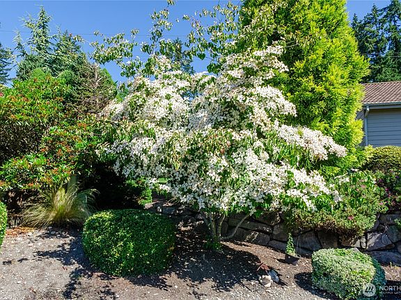 5th image of 7411 71st Avenue Ct SW