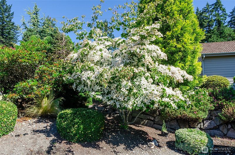 5th image of 7411 71st Avenue Ct SW