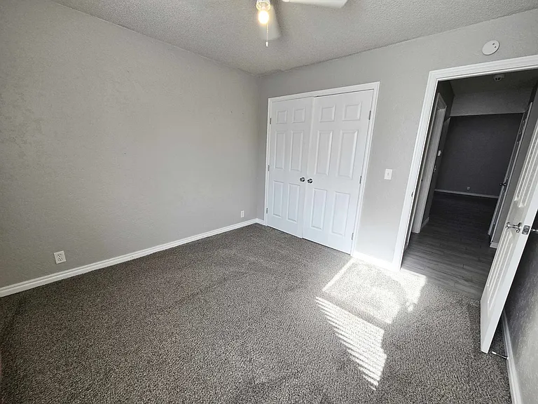 217 Cypress Dr — Photo 21