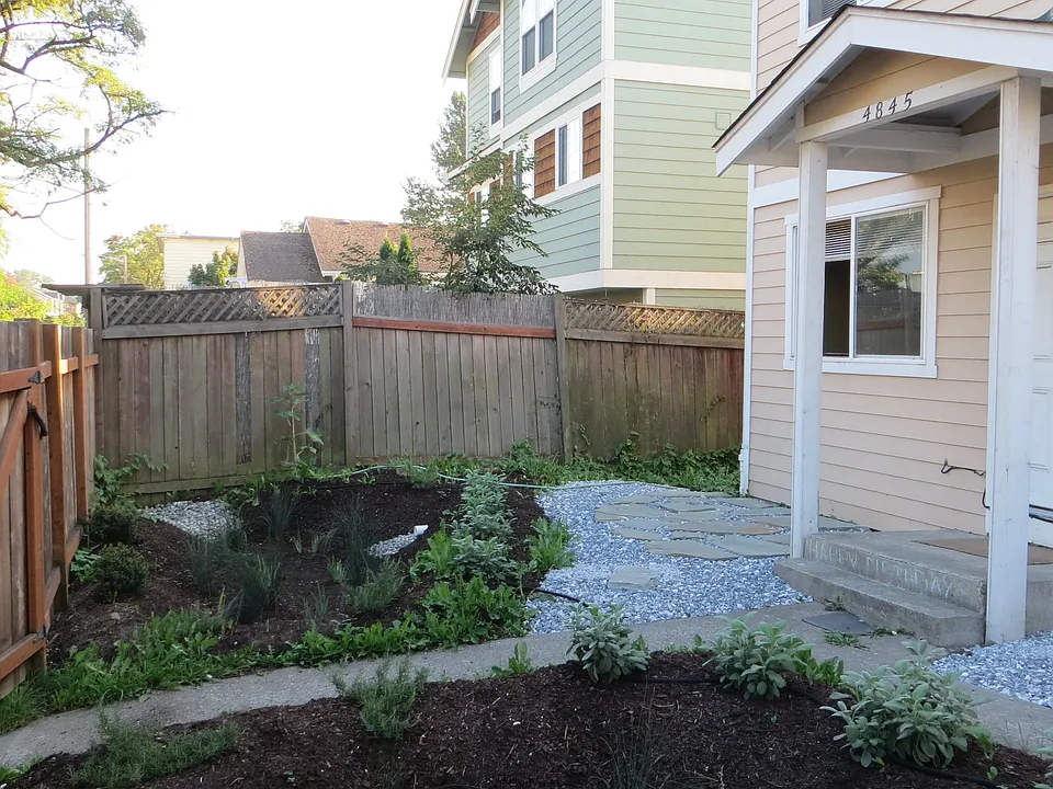 Beautiful rain garden