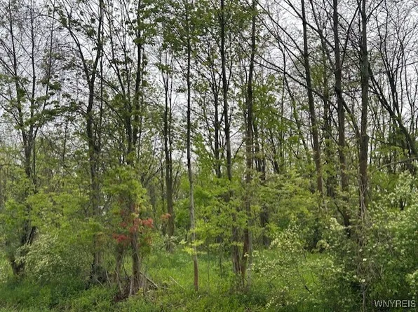 0 Sierk Rd #38, Attica, NY 14011