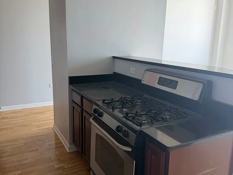 1550 S Blue Island Ave #1211 — Photo 6