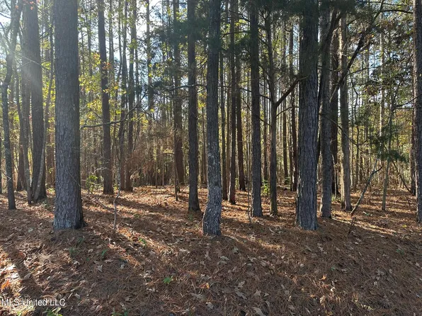 Bones Rd, Florence, MS 39073
