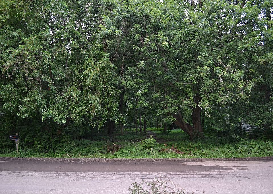 2nd image of 3312 Sandy Ln
