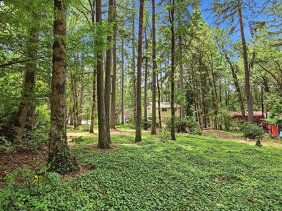 5th image of Old Dillard Rd