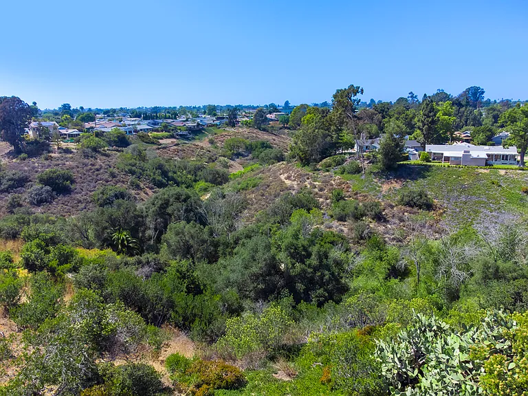 Canyon view from back yard