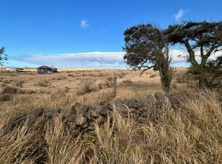 LOT 51 Lot 51, Naalehu, HI 96772