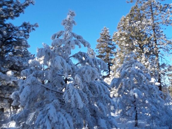 4th image of 0 Muledeer Road