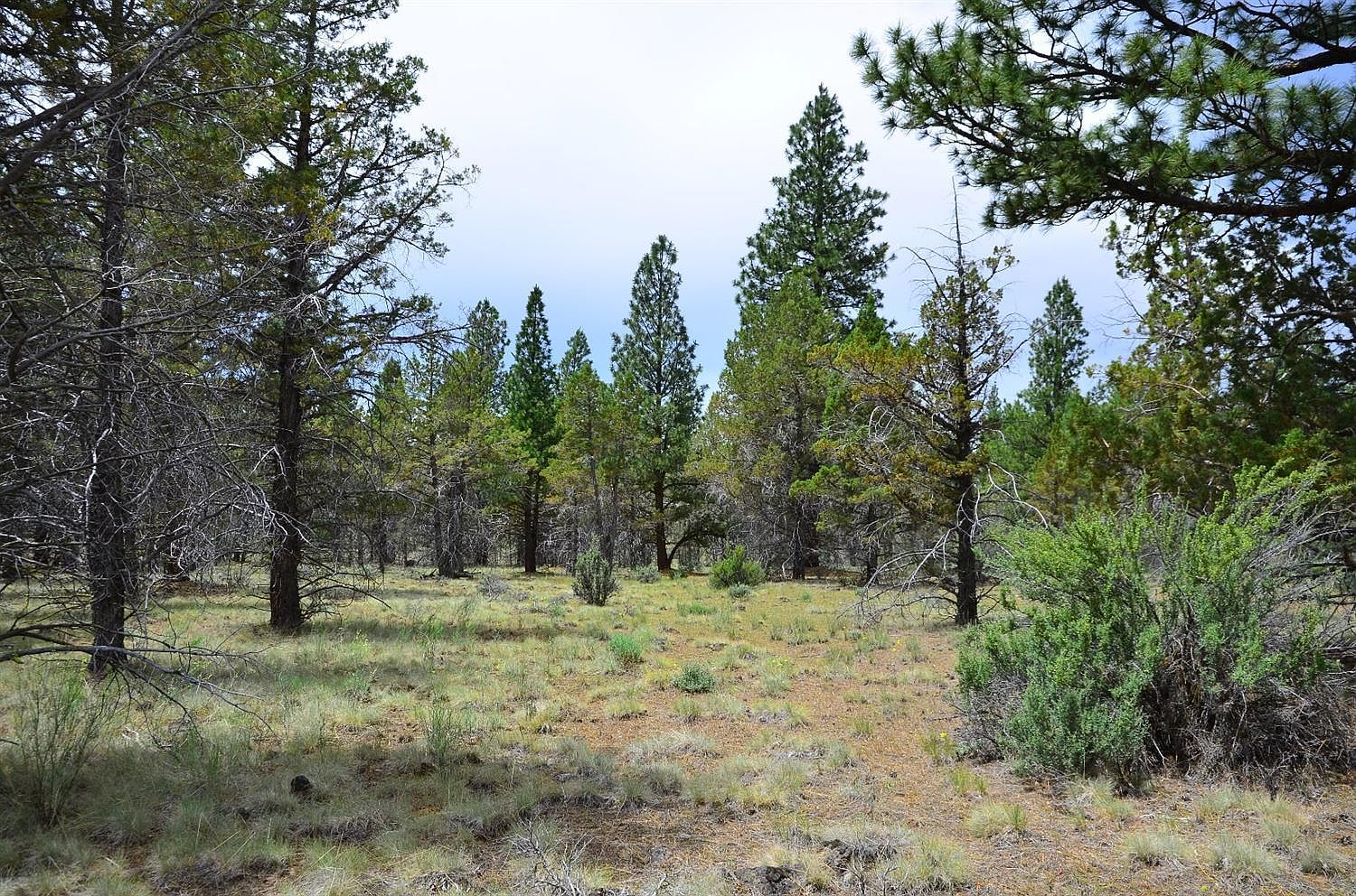 Fishhole Creek Rd, Bly, OR 97622 | Zillow