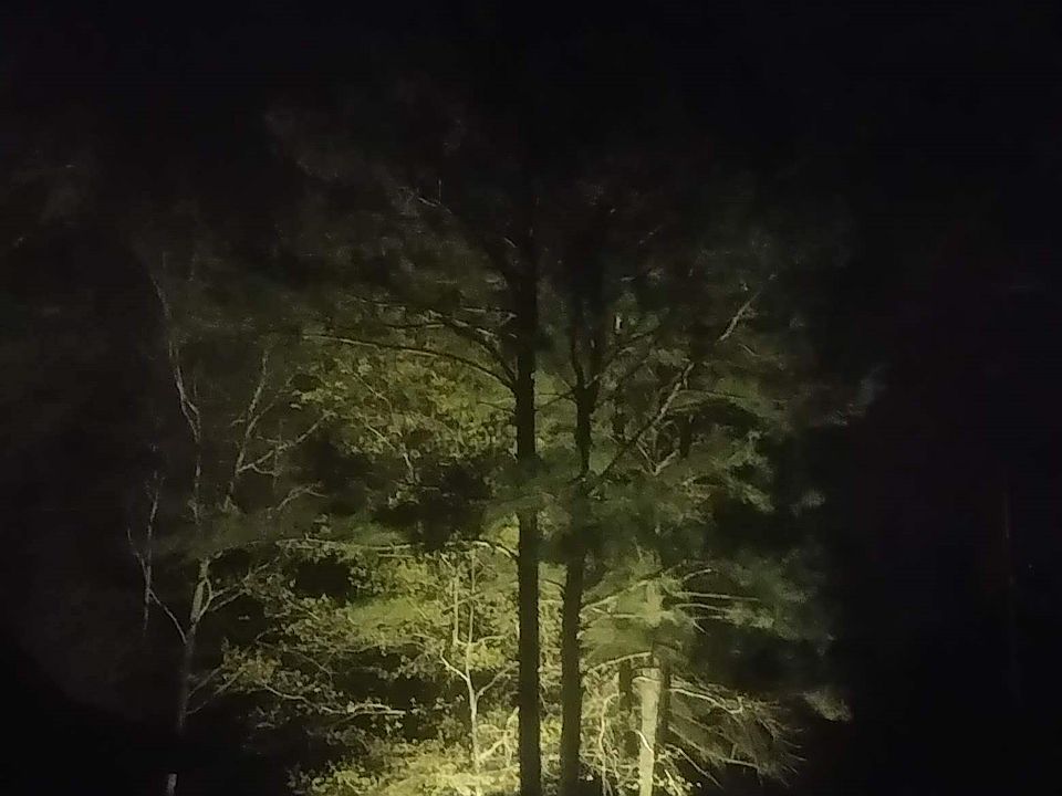2nd image of 2603 Hermitage Rd