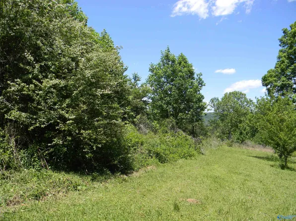 LOT 9 Anna Dr, Attalla, AL 35954
