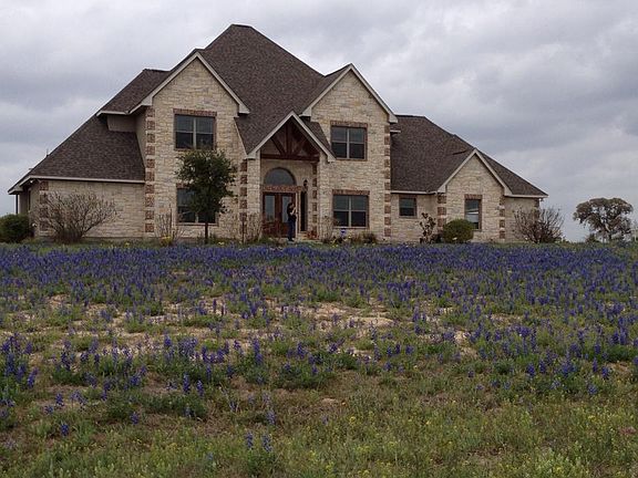Bluebonnets every spring!