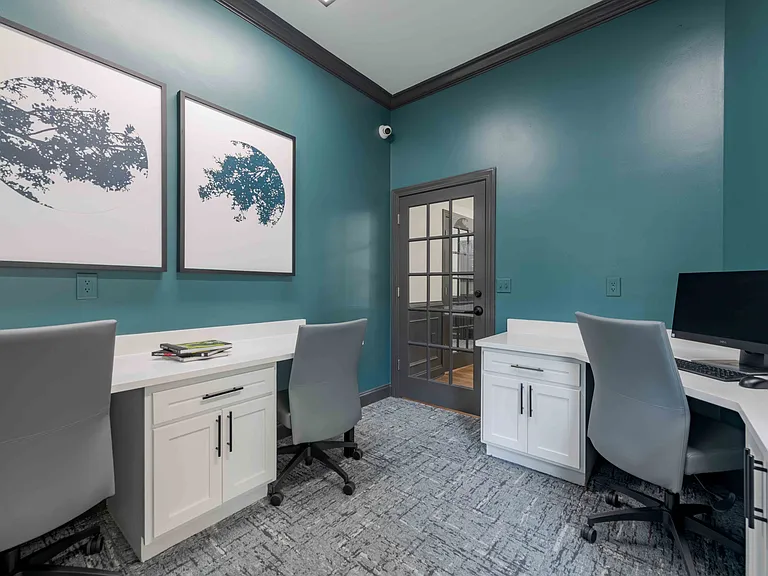 Reserve at Carrington Place — Photo 16