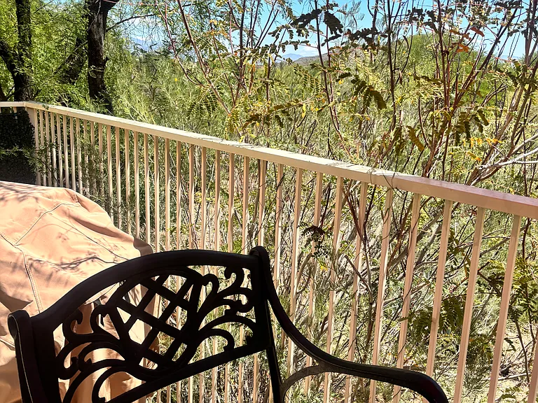 3691 W Placita Del Correcaminos #1 — Photo 45