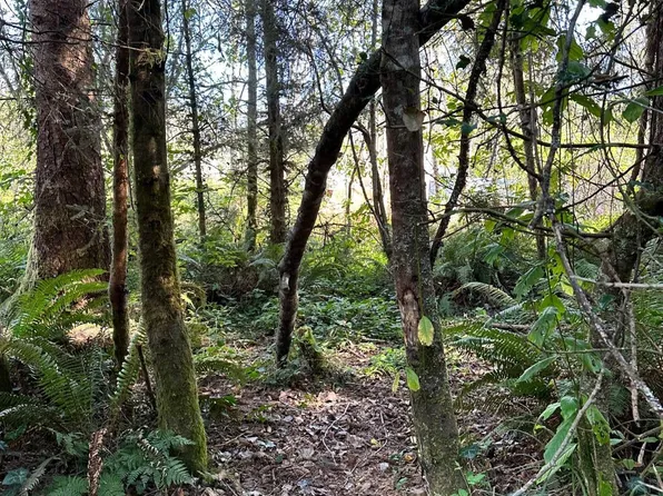 0 Pike St, Crescent City, CA 95531