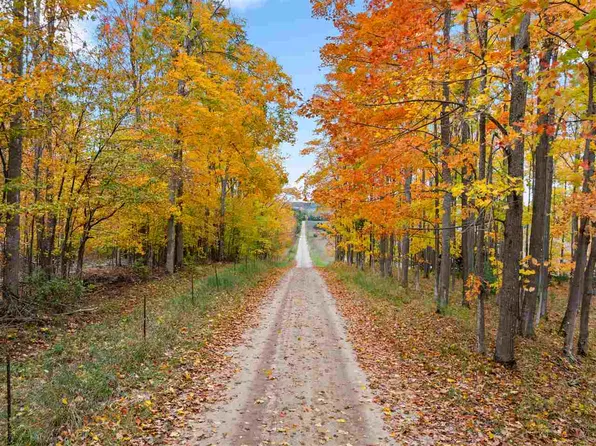 3751 Goslow Rd, Gaylord, MI 49735