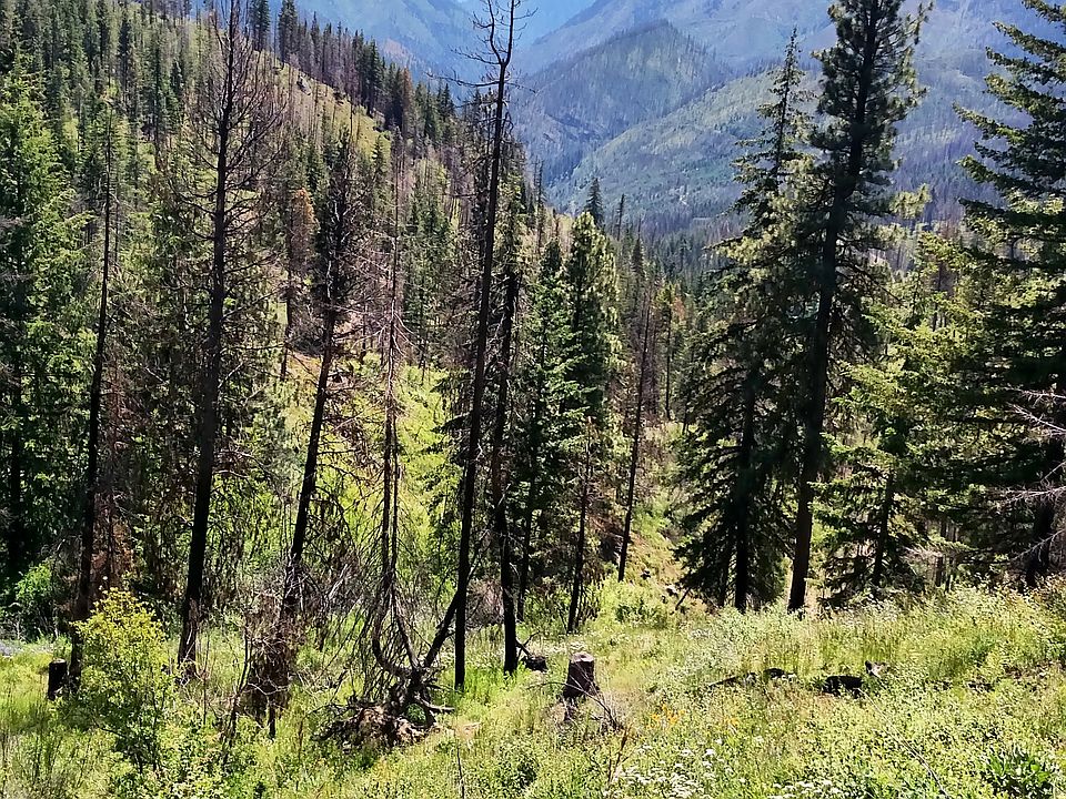 2nd image of Nna Hwy #2