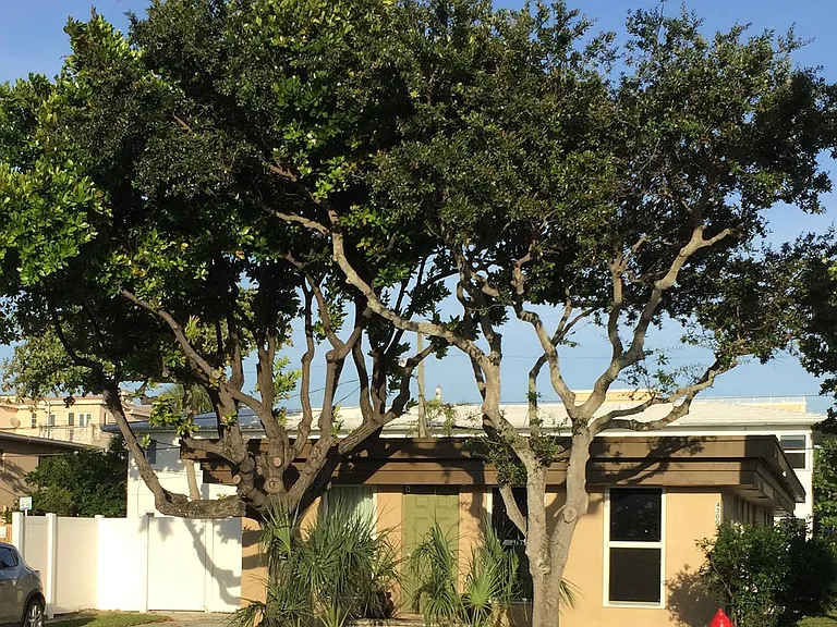 4300 N Ocean Dr #B — Photo 28