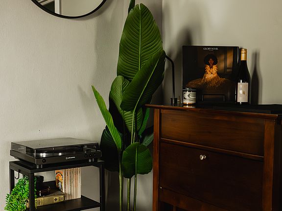 Bar corner with vinyl record player (bluetooth connected to soundbar)